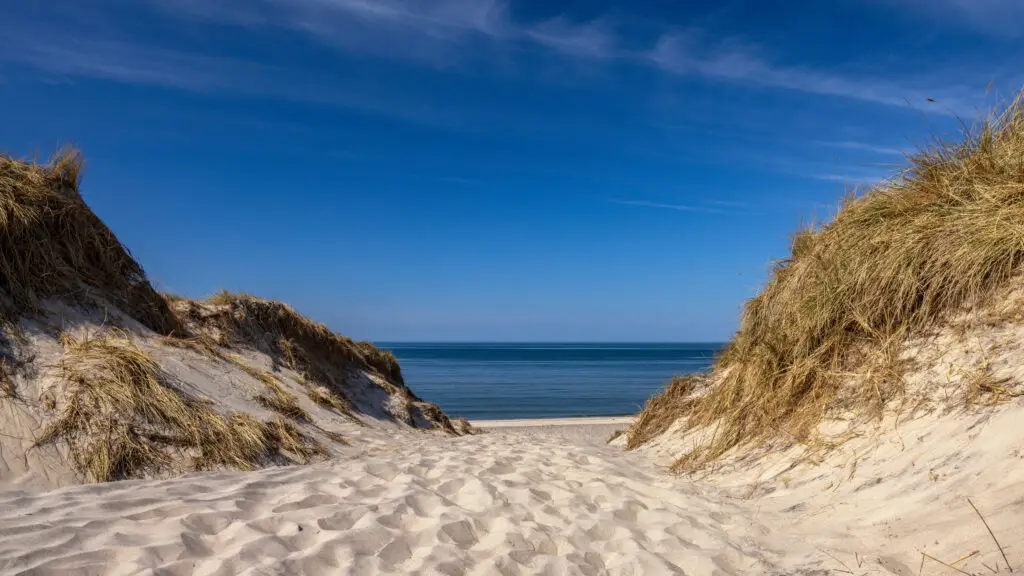 Sandy path leading through dunes to the serene beach at Hvide Sande, Denmark, under a clear blue sky.