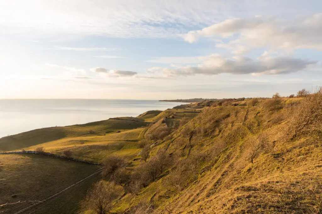 Voderup Klint, picturesque rolling hills overlooking the sea at sunset, a prime tourist destination in Scandinavia for nature enthusiasts and hikers.